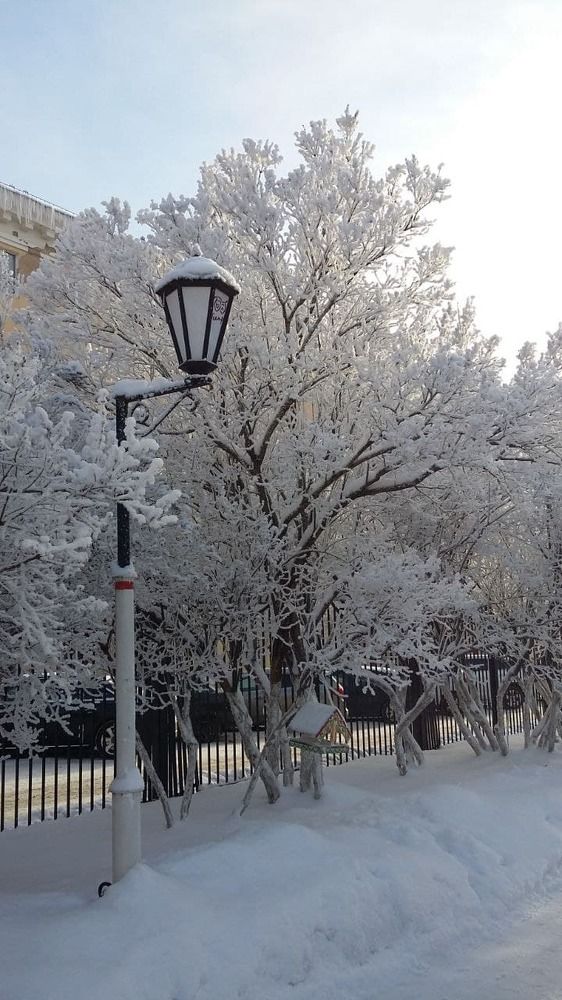 Фотография автора Наталья