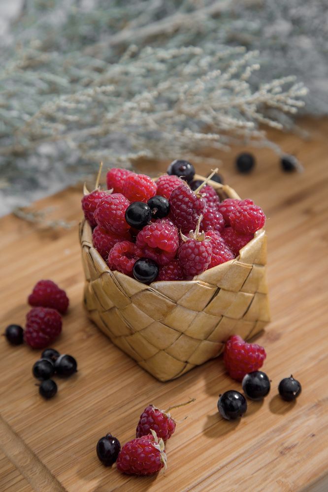 Фотография автора Бася Арден