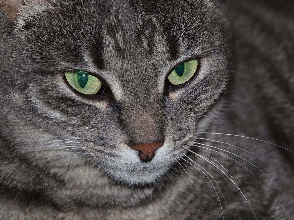 Фотография автора Дмитрий Федотов