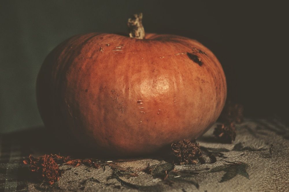 Photograph by Анна Нуразян