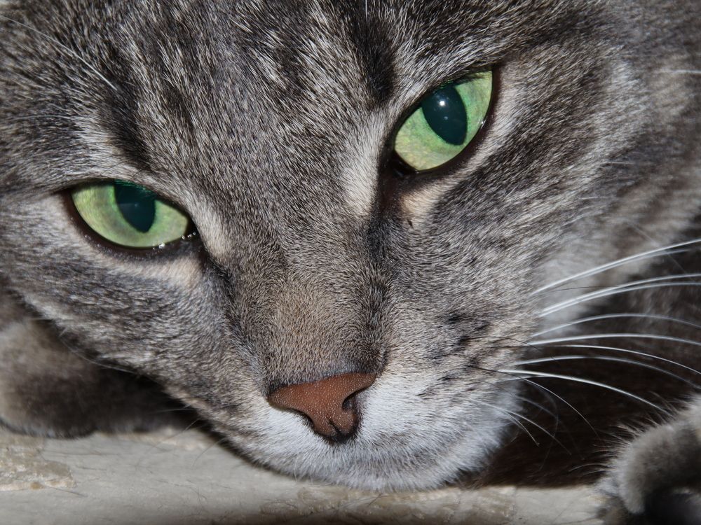 Фотография автора Дмитрий Федотов