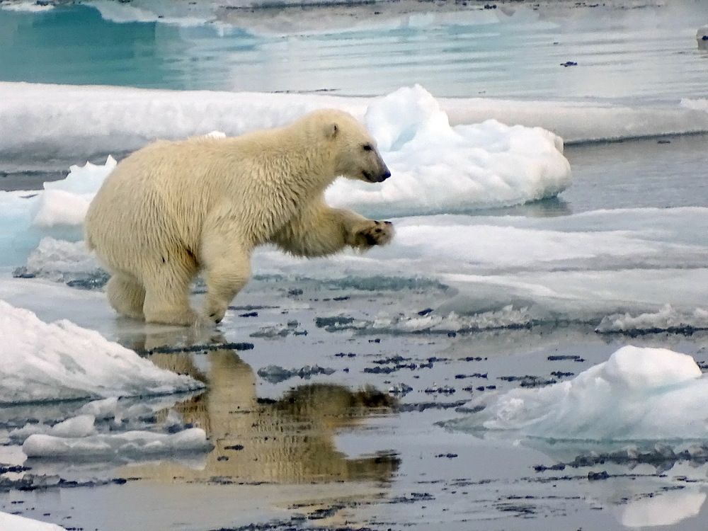 Photograph by Ivan Karavka