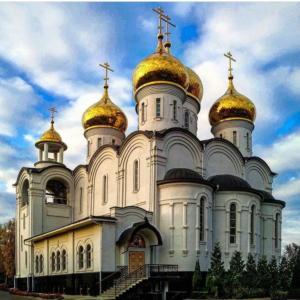 Фотография автора Елена Савельева