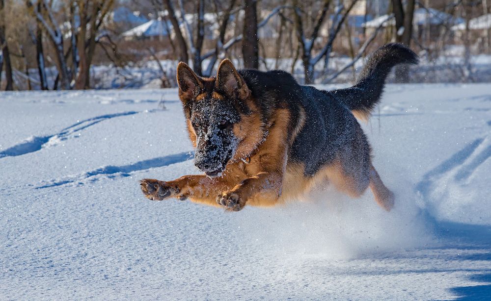 Photograph by Александр Есликов