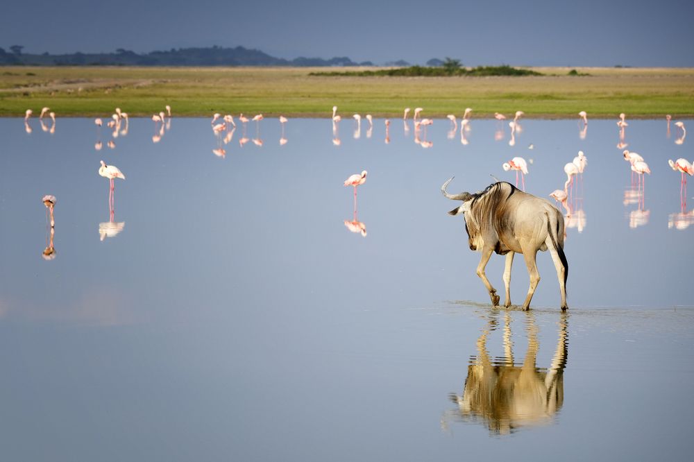 Photograph by Ирина Худзинская
