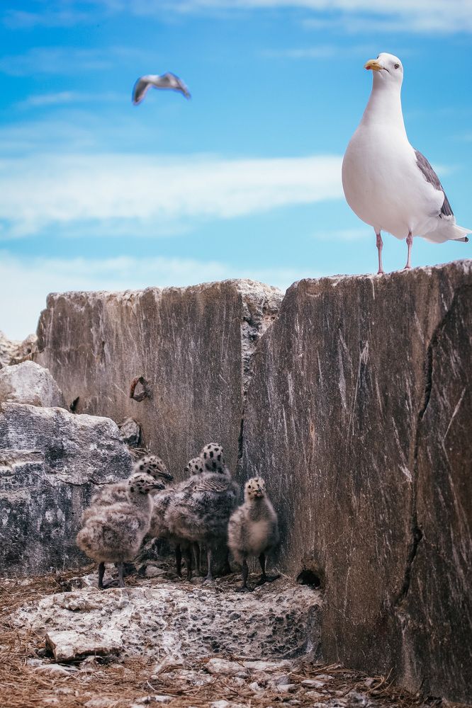 Photograph by Валентина Предеина