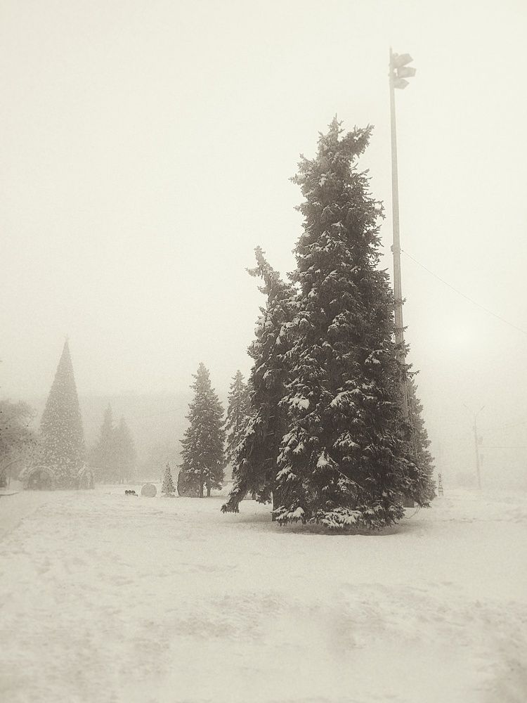 Photograph by Анна Нуразян