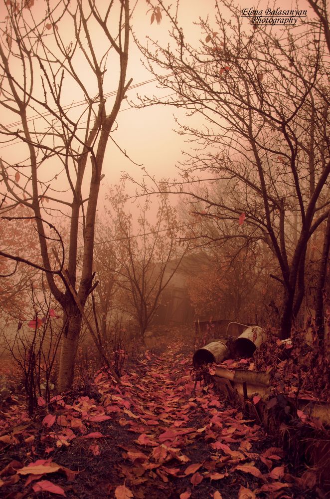 Photograph by Элена Баласанян