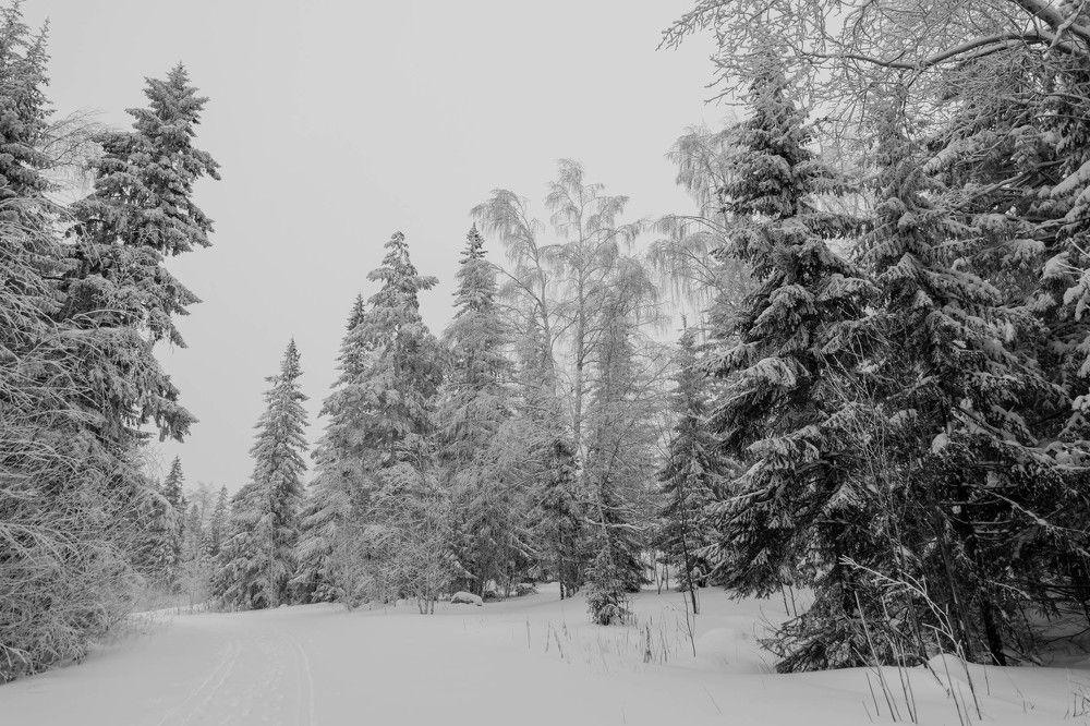 Photograph by Максим Фролов