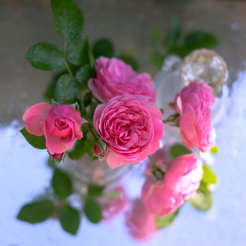 Photograph by Елена Вапняр