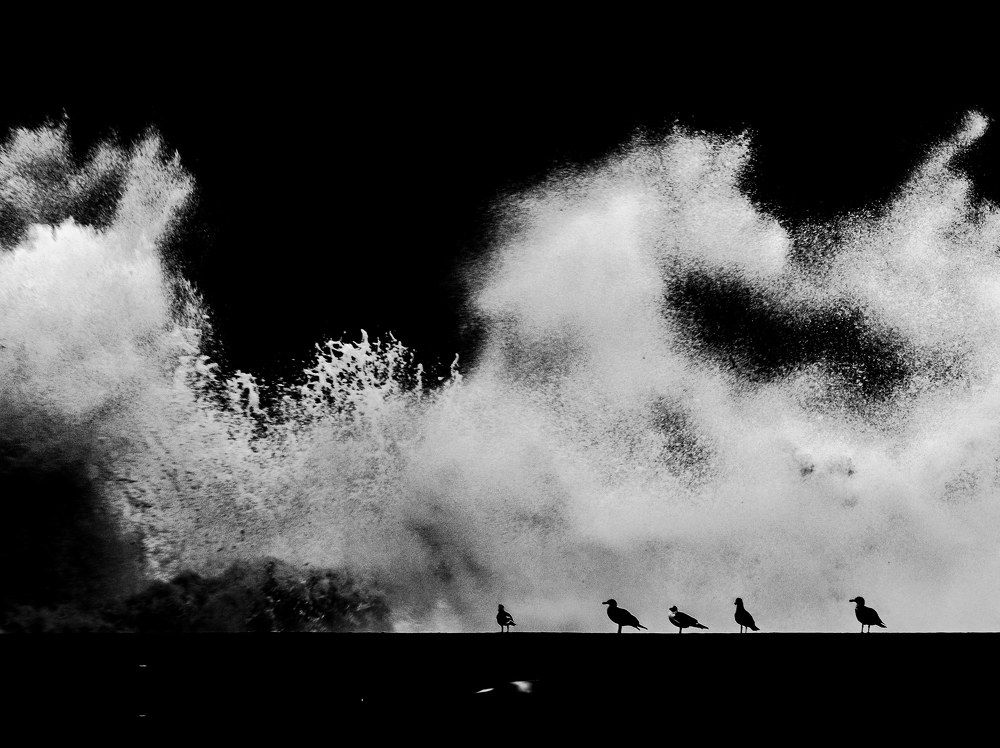 Фотография автора Nuno Pacheco