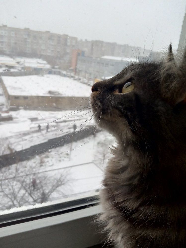 Photograph by limboi serhii