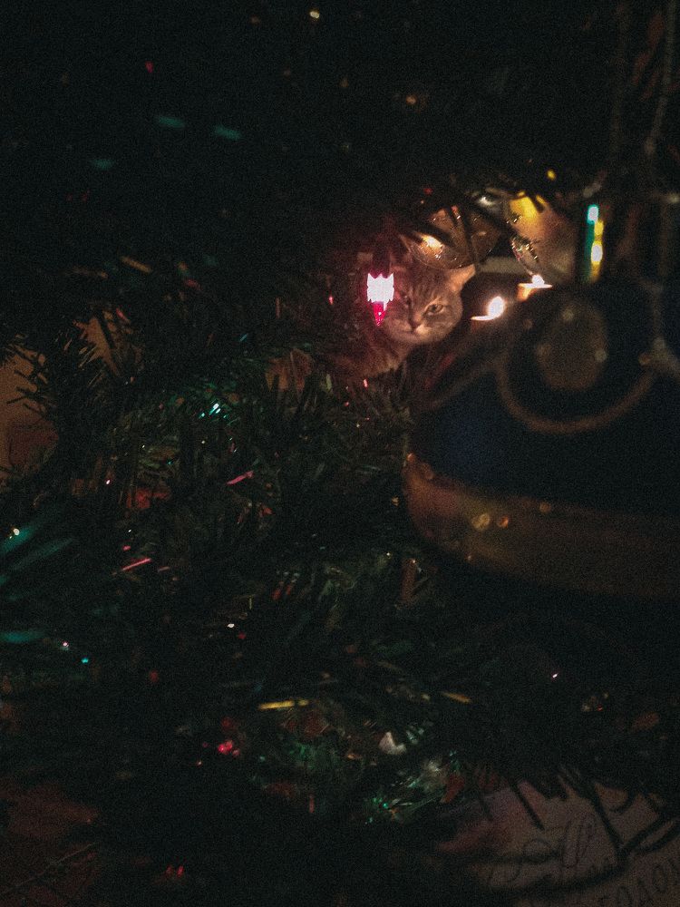 Photograph by Владислав Урдин