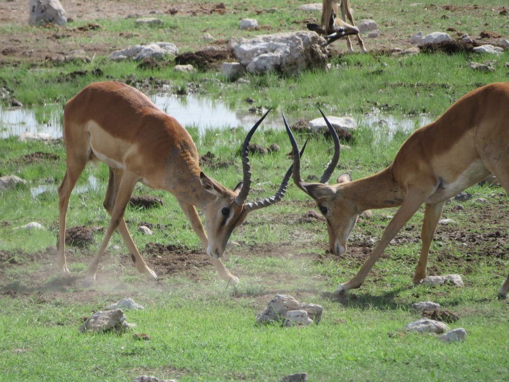 Photograph by Elena Vernikovskaya