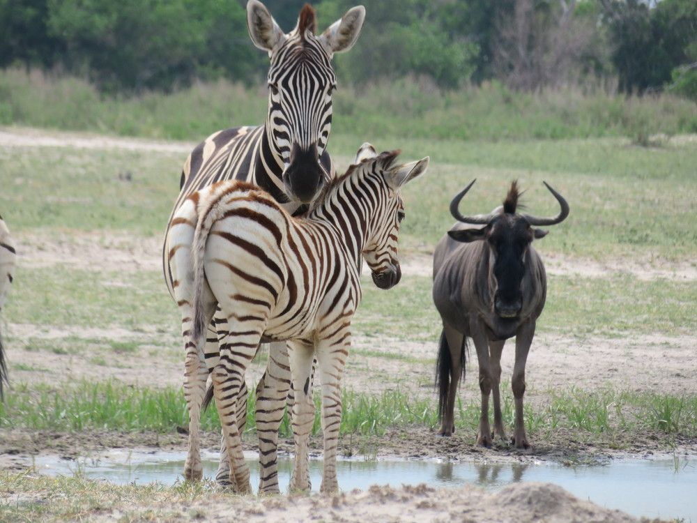 Photograph by Elena Vernikovskaya