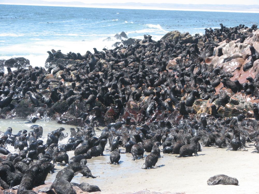 Photograph by Ovidiu Bogdan