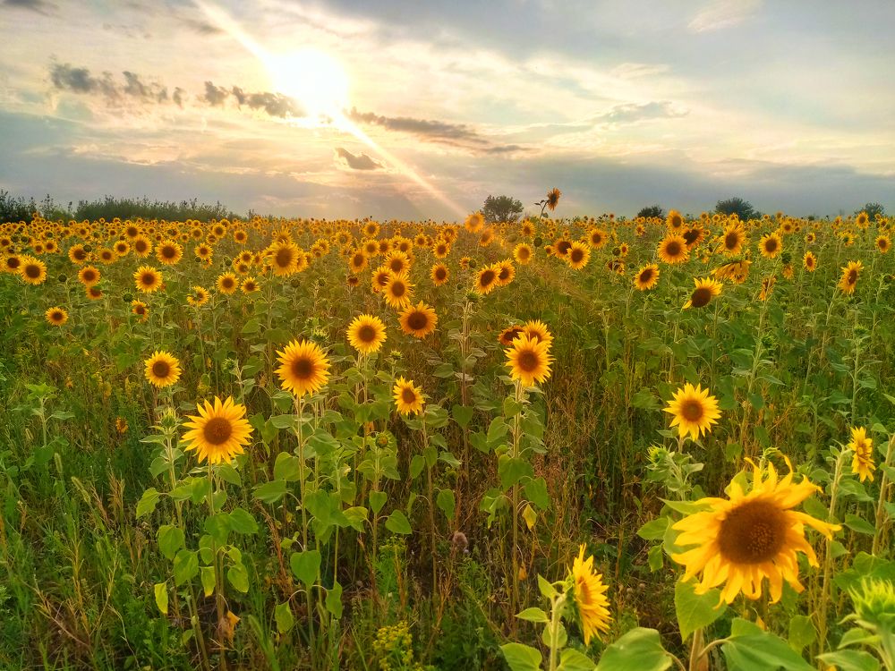 Photograph by Максим Фролов