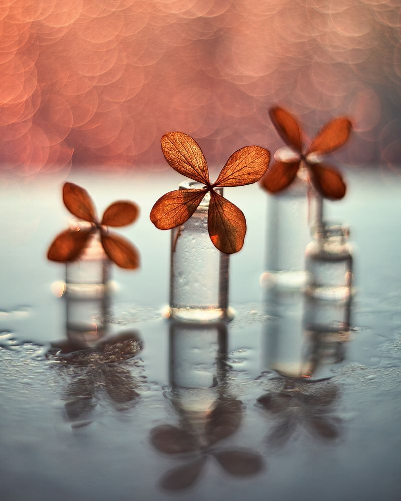 Photograph by Лилия Павлова