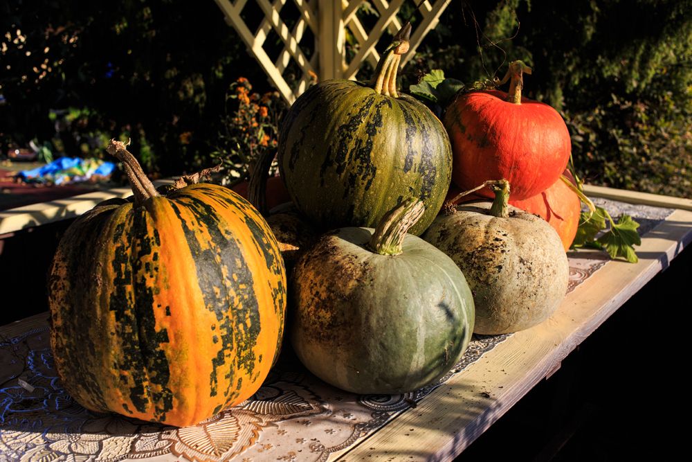 Photograph by Владимир Гришин