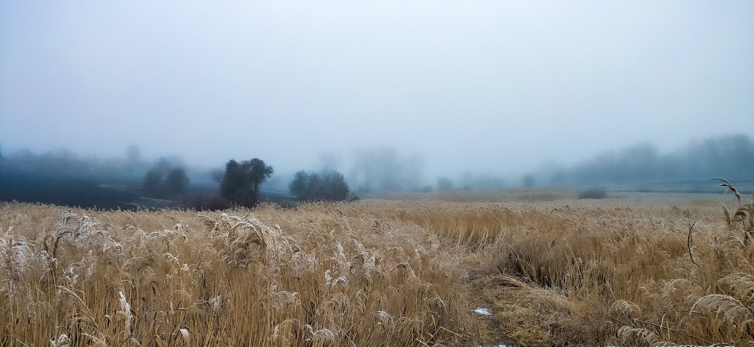 Photo #5709365