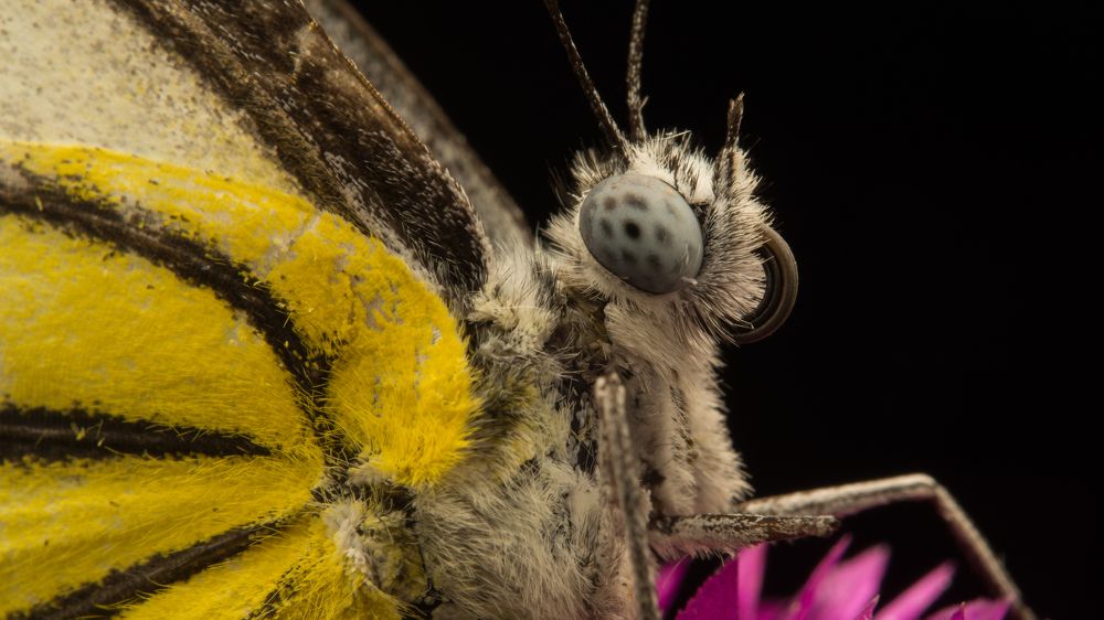 Photograph by Wildan Ardani