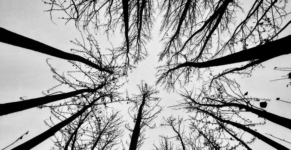 Photograph by Тимур Еримбетов