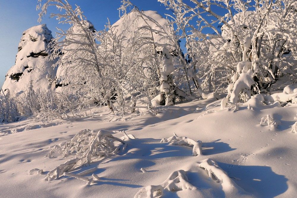 Photograph by Сергей Марков