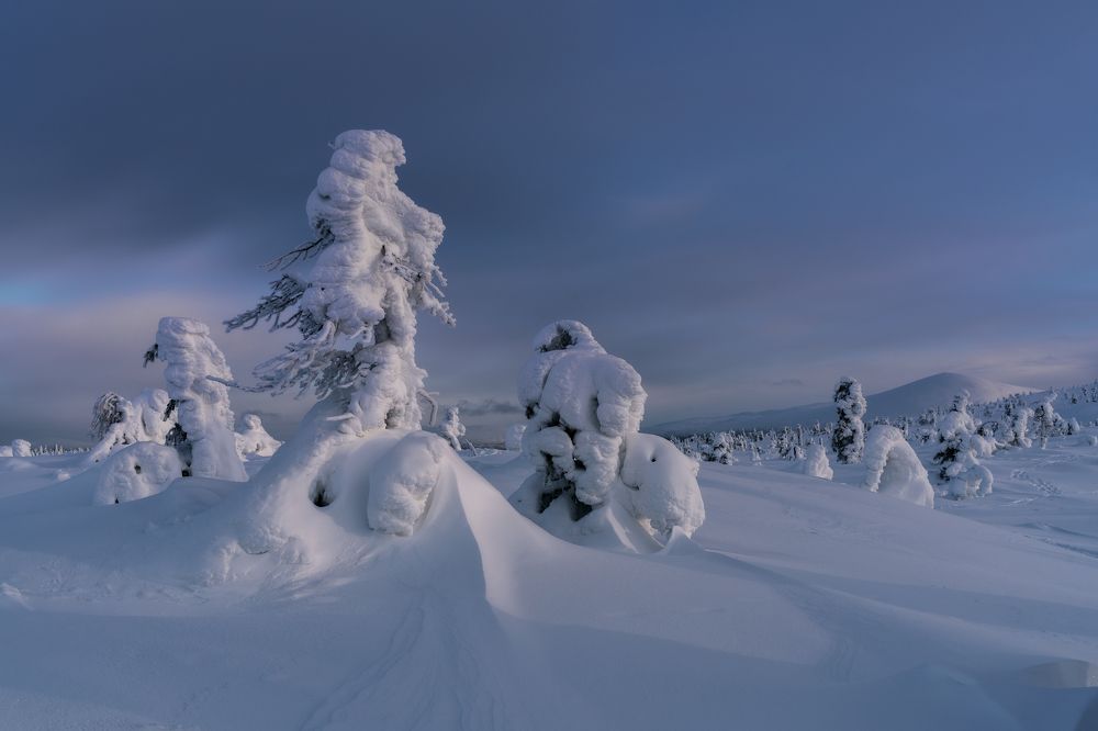 Гжель по-кольски
