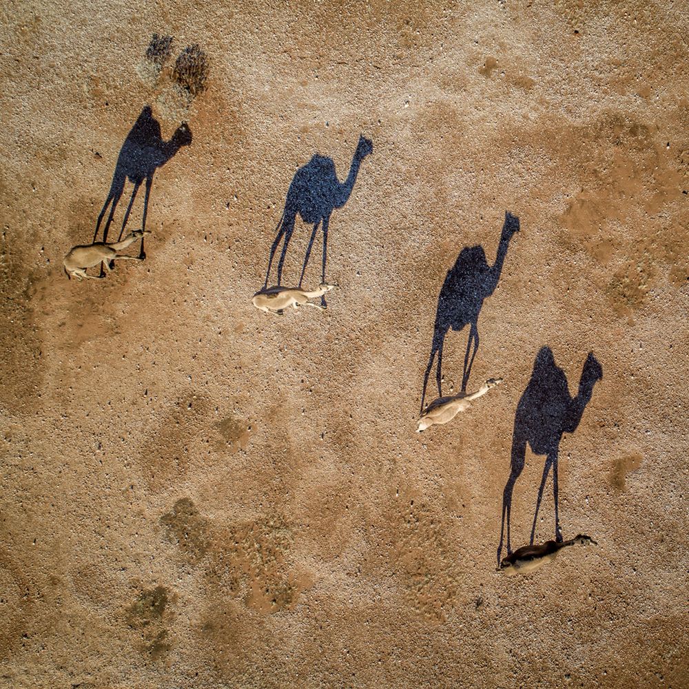 Photograph by shayne jennings