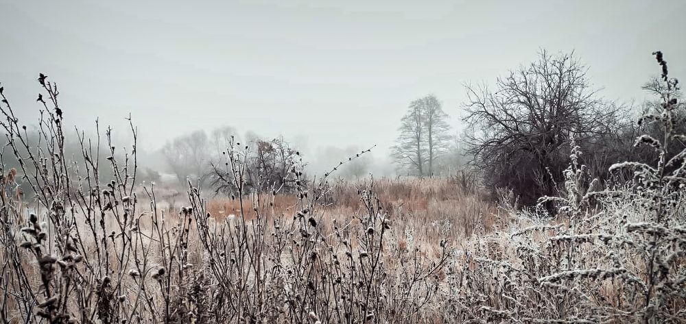 Photograph by Слупов Виталий