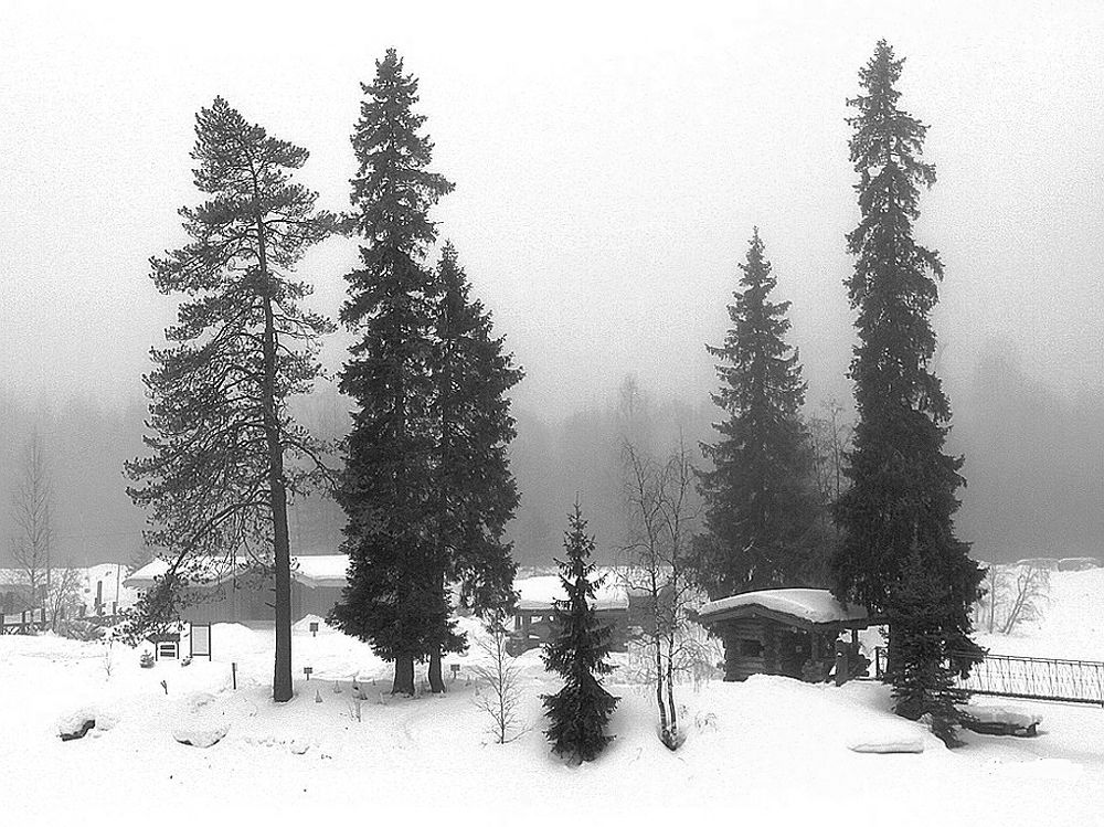 Photograph by Николай Шумилов