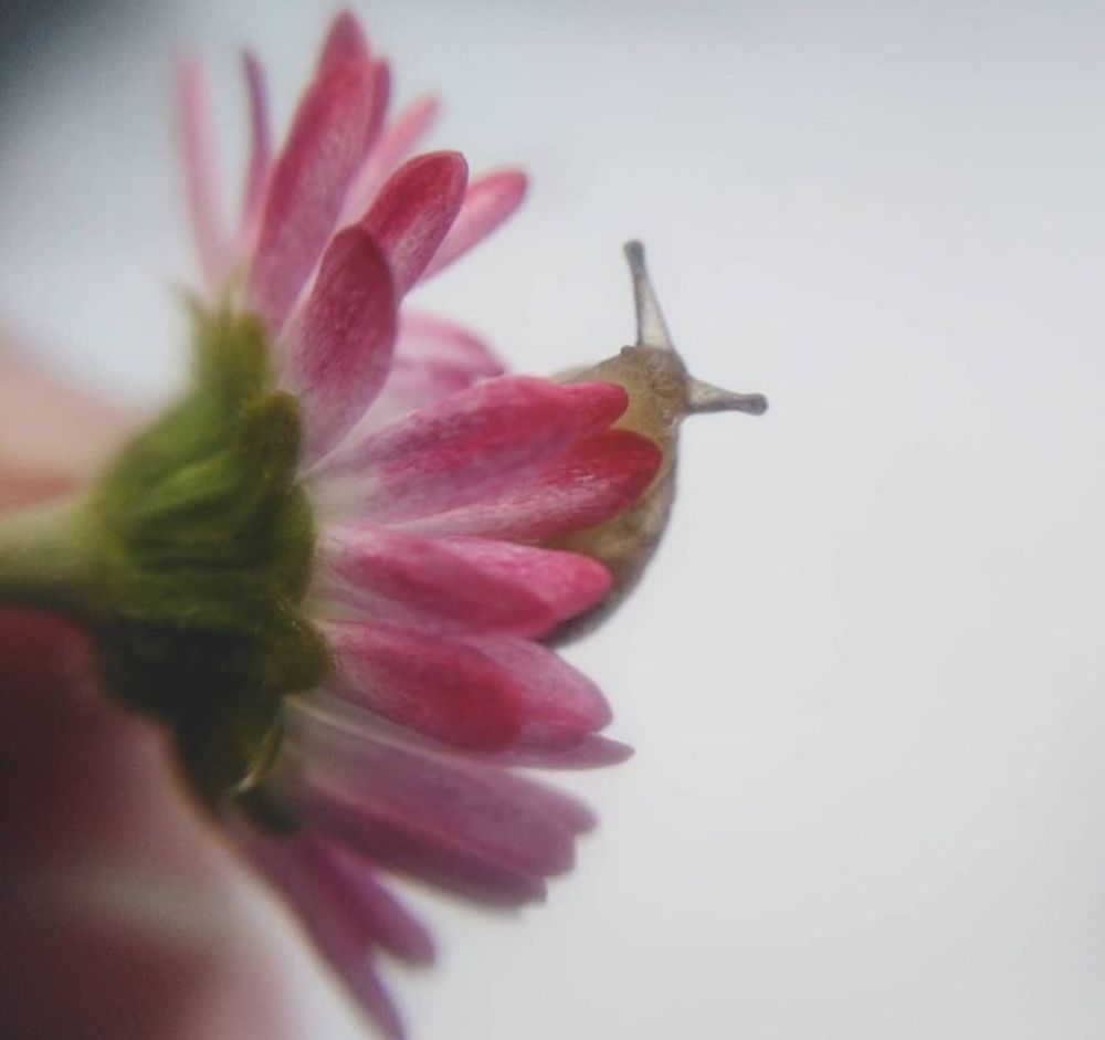 Photograph by Жанна Усатова