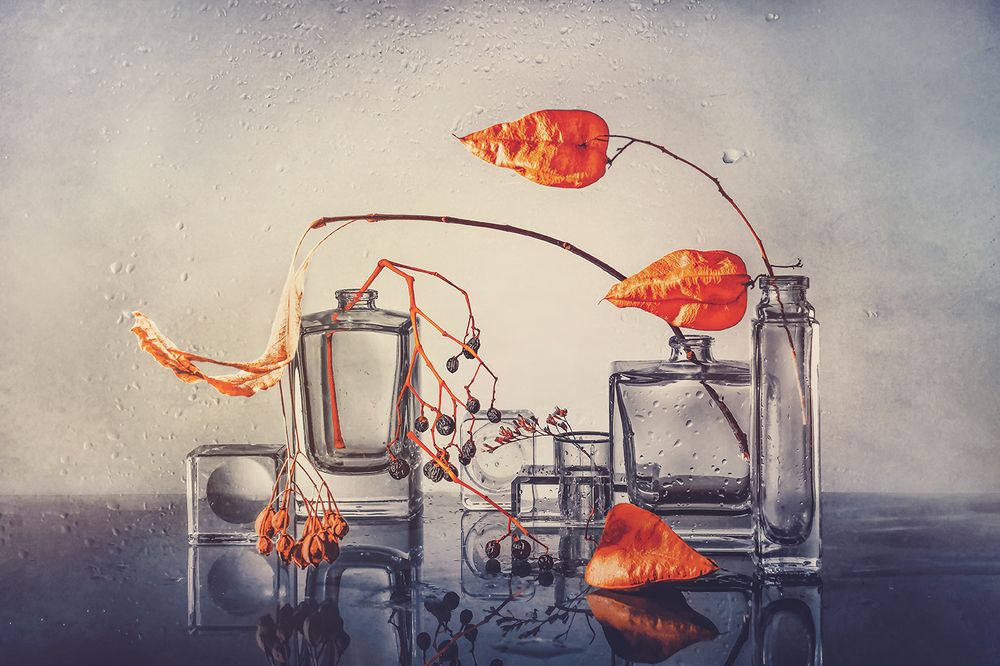 Photograph by MVO (Марк Орлов)