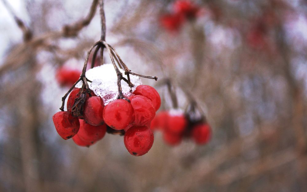 Photograph by Elizaveta Semenova