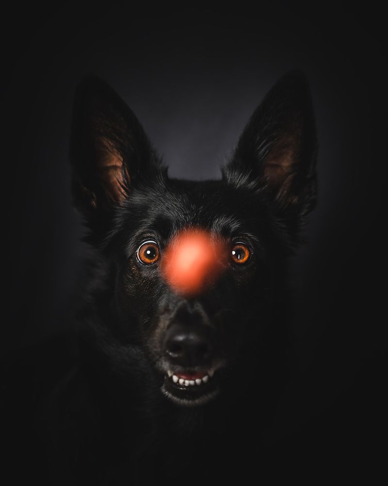 Photograph by Vladimir Smaženka