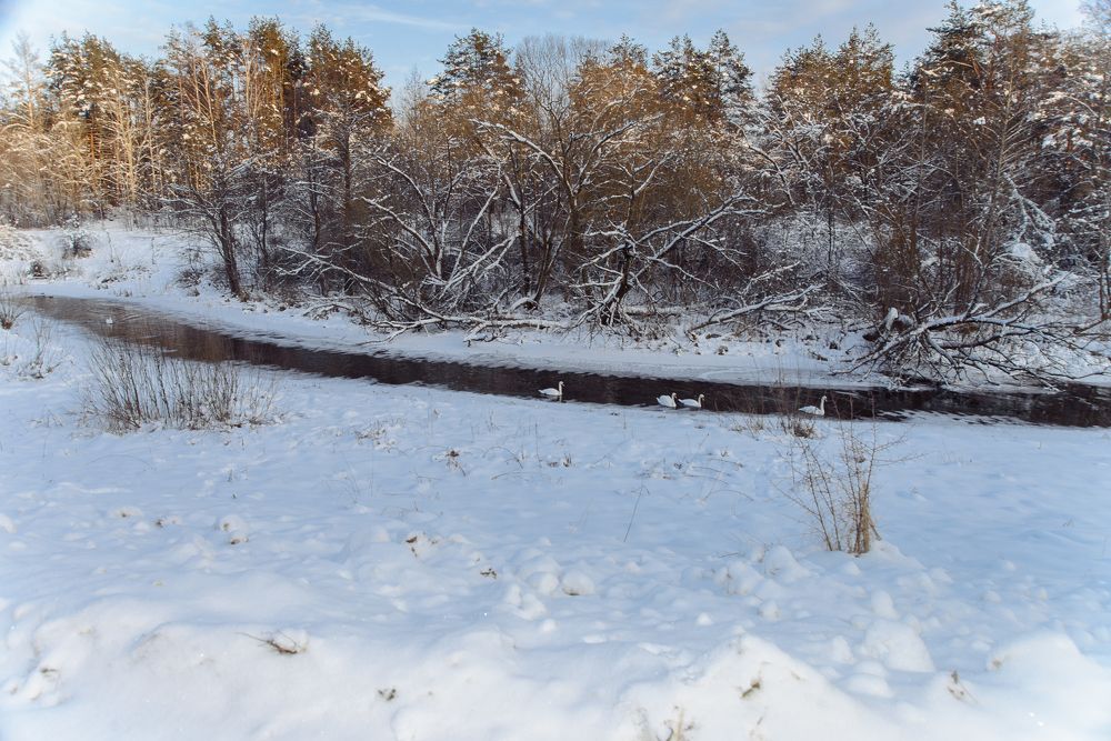 Photograph by Светлана Кондратьева