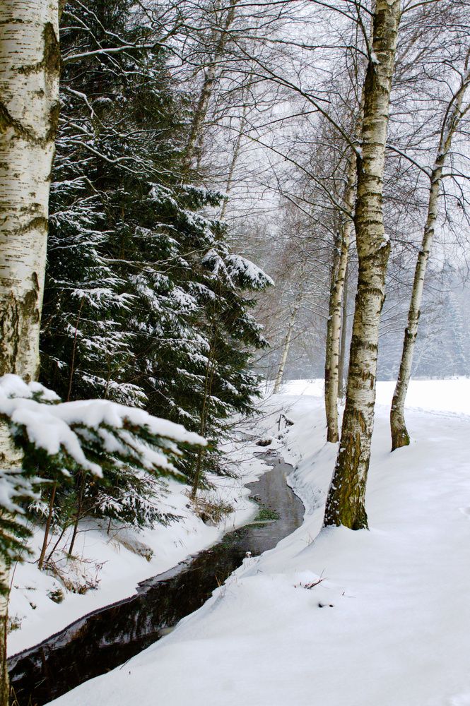 Photograph by Elizaveta Semenova