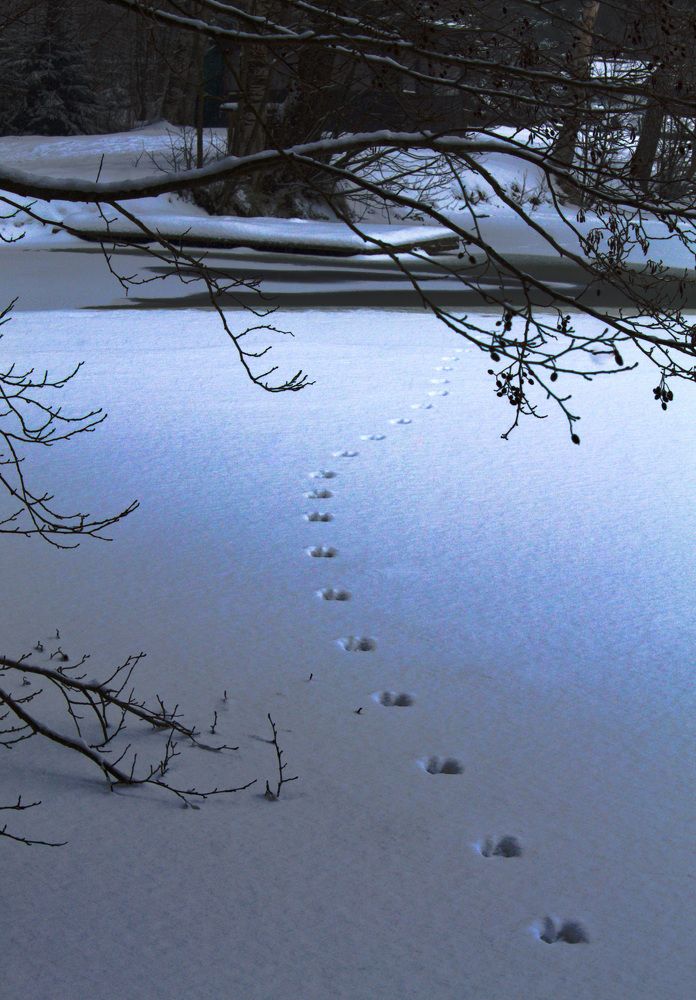 Photograph by Elizaveta Semenova