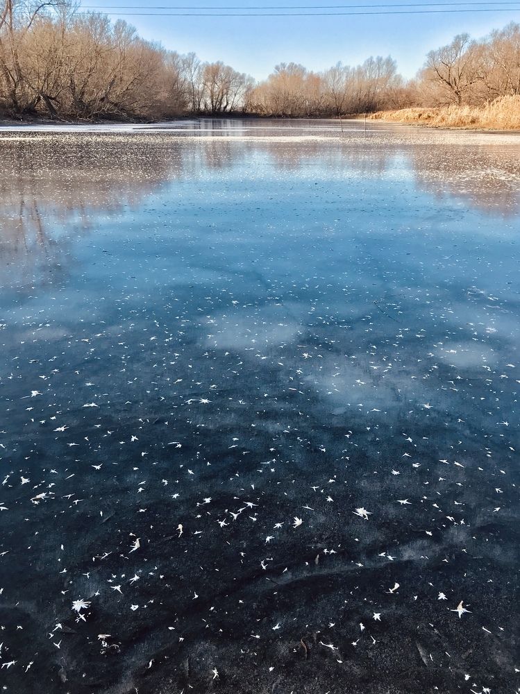 Photograph by Валентина Широбокова