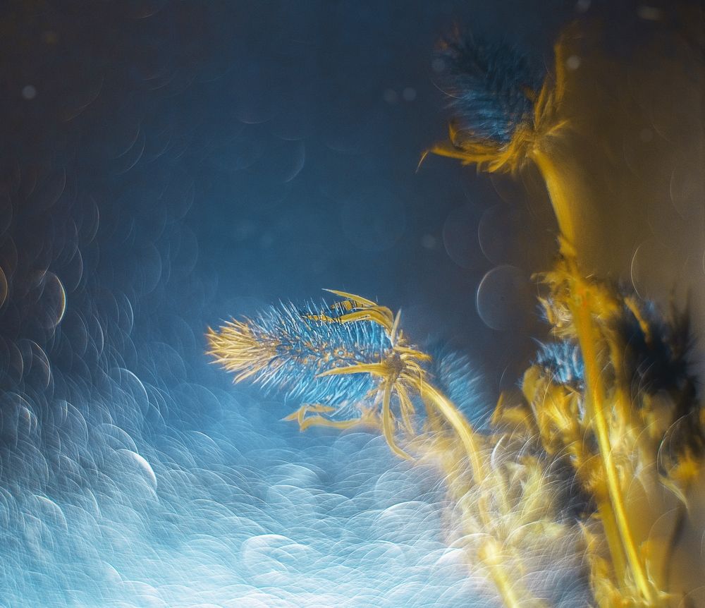 Photograph by Olga Rogozina