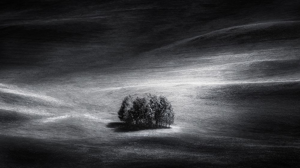 Photograph by Татьяна Бирюкова