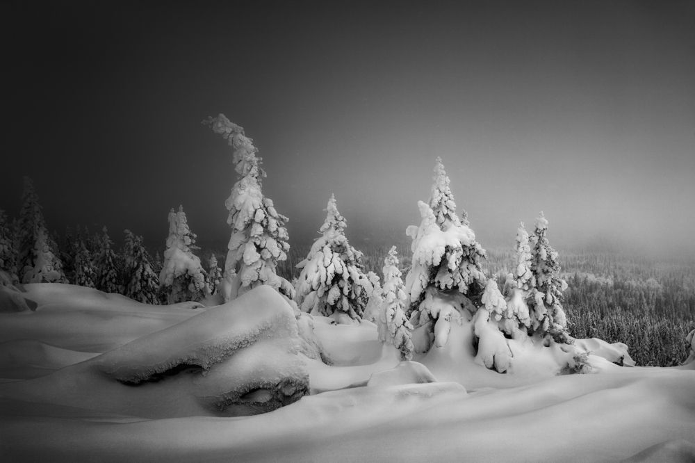 Photograph by Татьяна Бирюкова