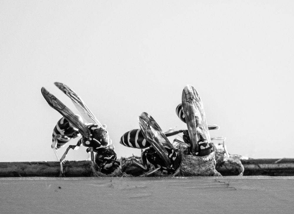 Photograph by Yuliya Bocharova