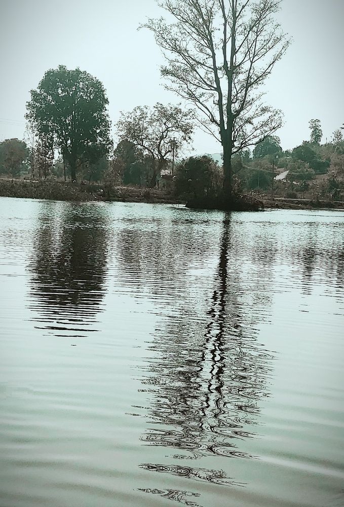 Фотография автора Parag Purkar