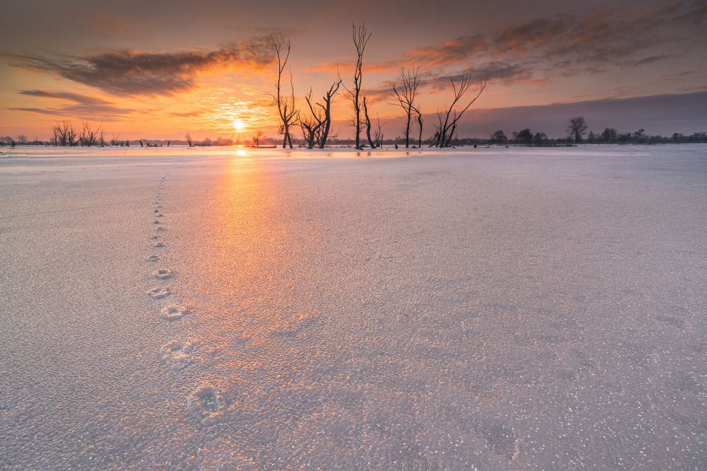 Photograph by Sławomir Sot