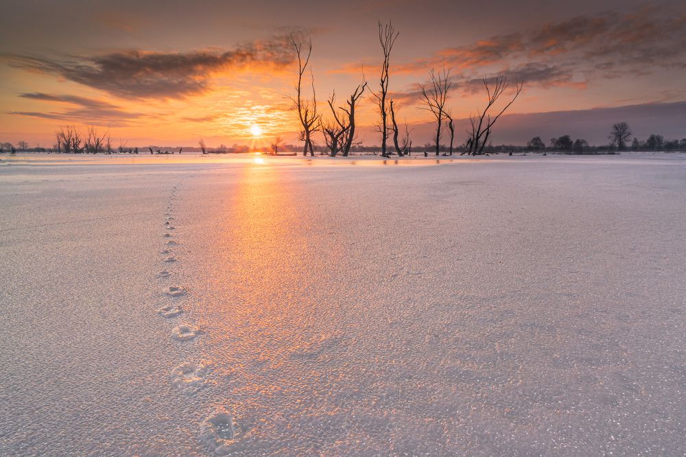 Photograph by Sławomir Sot