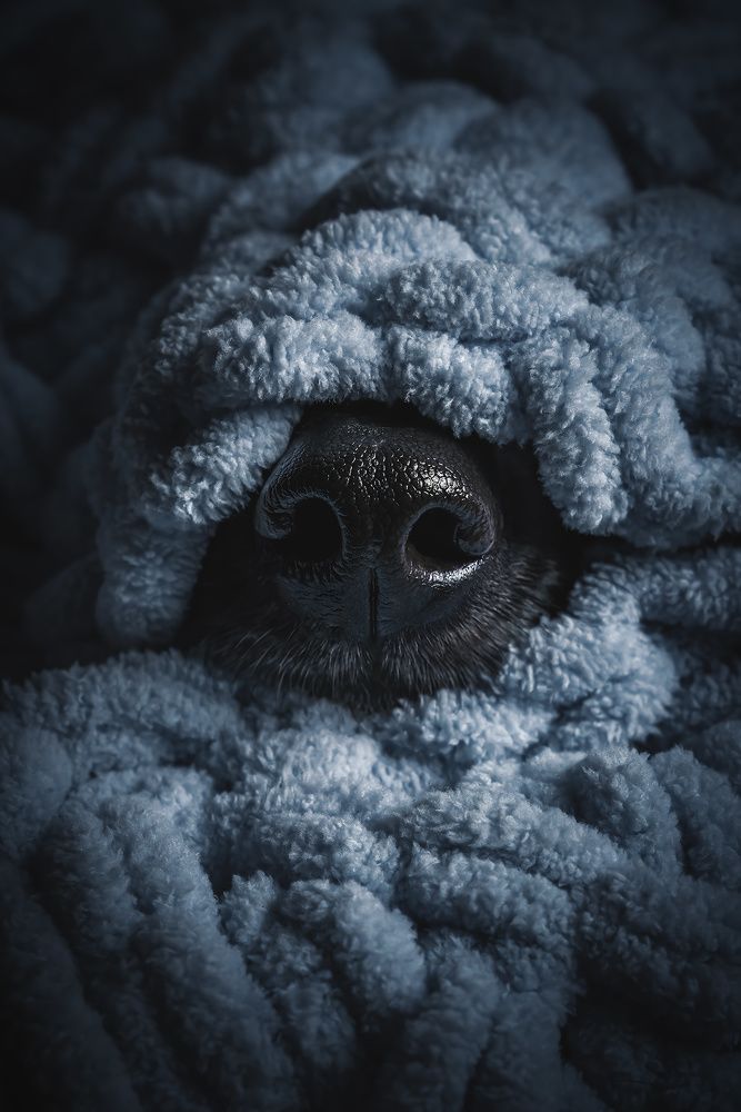 Photograph by Vladimir Smaženka