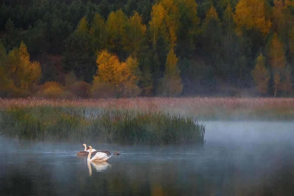 Photograph by Аркадий Саямов