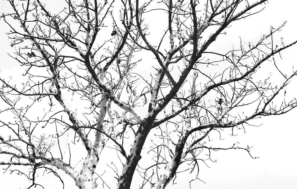 Photograph by AMEGADJE Kodzo