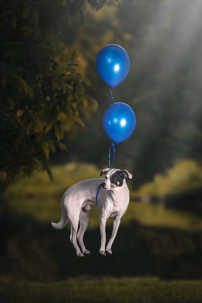 Photograph by Vladimir Smaženka